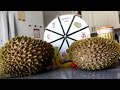 The Ultimate Durian Challenge (2M Subscriber Special)