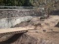 Видео Киевский зоопарк - Волк.