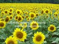 Basta T Maghintay Ka Lamang By Charice Pempengco With Lyrics images Basta T Maghintay Ka Lamang By Charice Pempengco With Lyrics