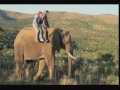 The Elephant Riders
