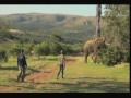 The Elephant Riders