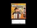 WALDOMIO EM RITMO DE FORRÓ PÉ DE SERRÁ