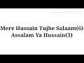 Mere Hussain Tujhe Salaam Lyrics Shadab Razvi Voice...Moharram Special...Very Emotional Salaam