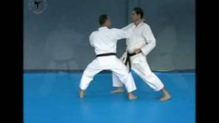Bunkai - Jiin By Yuval Abergil