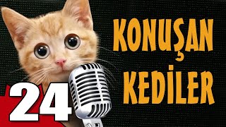 Konuşan Kediler 24 - En Komik Kedi ları
