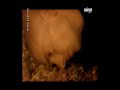 Way Out West - The Gift