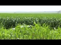 Ukraine turmoil threatens farmers and global markets