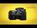 Video Nikon D3200 Chapter 4