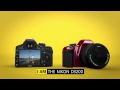 Nikon D3200 Chapter 4
