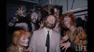 Watch Brian Wilson Love Ya video