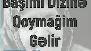 Anaya Aid Gozel Seir