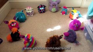 No More Mama! Huge Furby Conversation No More Mama! Huge Furby Conversation