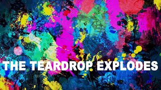 Watch Teardrop Explodes The Great Dominions video