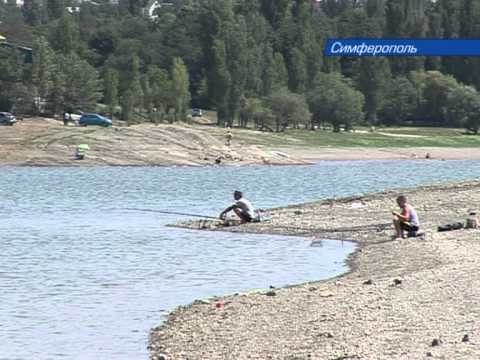 В Симферопольское водохранилище запустили карпа