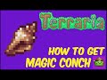 How To Get Magic Conch (With Seed) In Terraria | Terraria 1.4.4.9