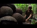 CIFOR