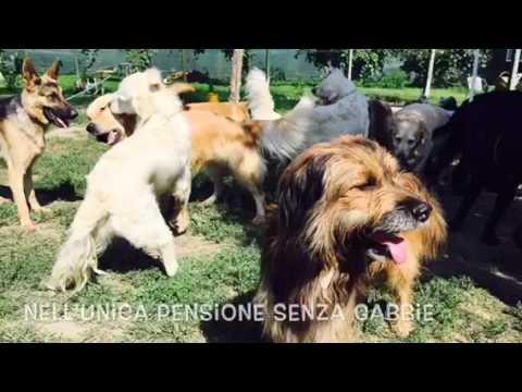 Il Mio Canale
