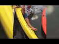 That's One Way to Do It! 🤣🤣 | Funniest Fails | August 2019 AFV