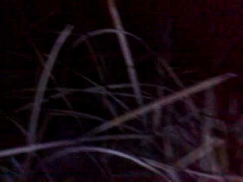 Witch hunt in Khasi in Jand Najhaar