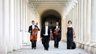 Christina Perri A Thousand Years Gli Archimisti String Quartet Christina Perri A Thousand Years Gli Archimisti String Quartet