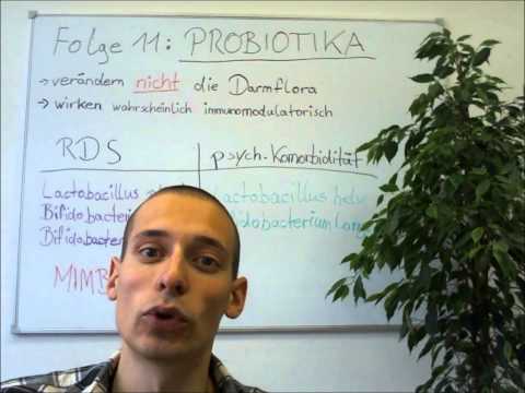 bifidobakterien reizdarm