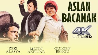 Aslan Bacanak Türk Filmi | 4K ULTRA HD | ZEKİ ALASYA | METİN AKPINAR