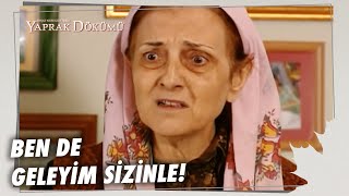 Cevriye Balayına Gitmek İstiyor - Yaprak Dökümü 62. Bölüm
