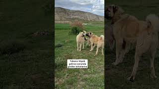 Abone Olmayı Unutmayın