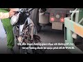 Xe container cuốn nát xe máy một phụ nữ thoát chết kỳ diệu