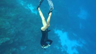 Snorkel And Free Diving At Maldives