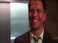dinozzo