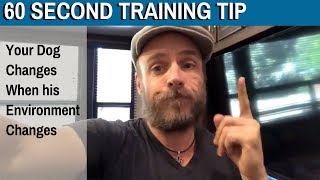 60 Second Training Tip: Your Dog Changes When his Environment Changes
