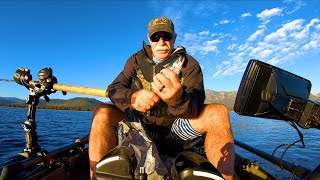 🐟 Koke on a Kayak - Lake Tahoe Fishing#shorts kokanee spawn
