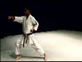 karate classes online