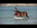Pony Swimming in Guernsey