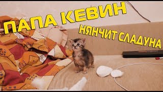 Ляпота тв новые серии 2018 года Ляпота тв новые серии 2018 года