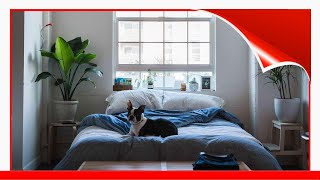 Feng Shui Tips For Bedrooms In All Bagua Areas