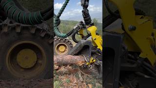 Throwing Tree With Harvester 1270G #Love #Machine #Johndeere #Wood #Viral #Tree #Harvester #Montains