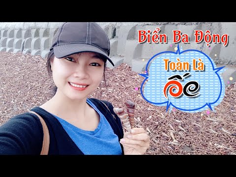 Đi Biển Ba Động Bắt Ốc Viết Nhiều Mệt Xỉu | Tiếu Ngạo Miền Tây - Tập 30