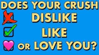 DOES YOUR CRUSH DISLIKE, LIKE OR LOVE YOU? Love Personality Test | Mister Test