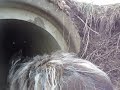 pastore 動画6b