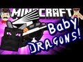 Minecraft BABY ENDER DRAGONS! Hatch & Fly!