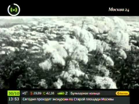 Достоевского стих Достоевского стих