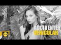 Modelo Natalie Vértiz ocasionó un nuevo accidente de tránsito