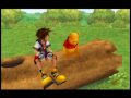 Kingdom Hearts - 17 100 Acre Wood