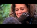 Ranker Video