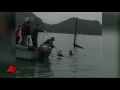 12 Killed in Tour Boat Sinking in Vietnam