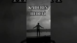 Roy Sullivan 45 Saniyede Kaderin Çarptığı Adam