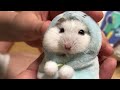 Funny Hamsters Videos Collection | Funny and Cute Moment of the Animals