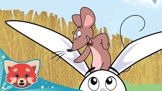 我的兔子朋友 插曲 #2 | 完整劇集 | 红熊动画
